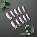 Clivia Spatial Sense Gradient Press-On Nails